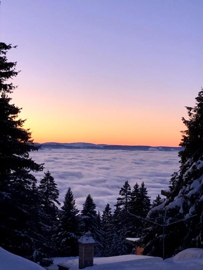 T2- 4Pers- Chamrousse Bachat Bouloud Apartment ภายนอก รูปภาพ