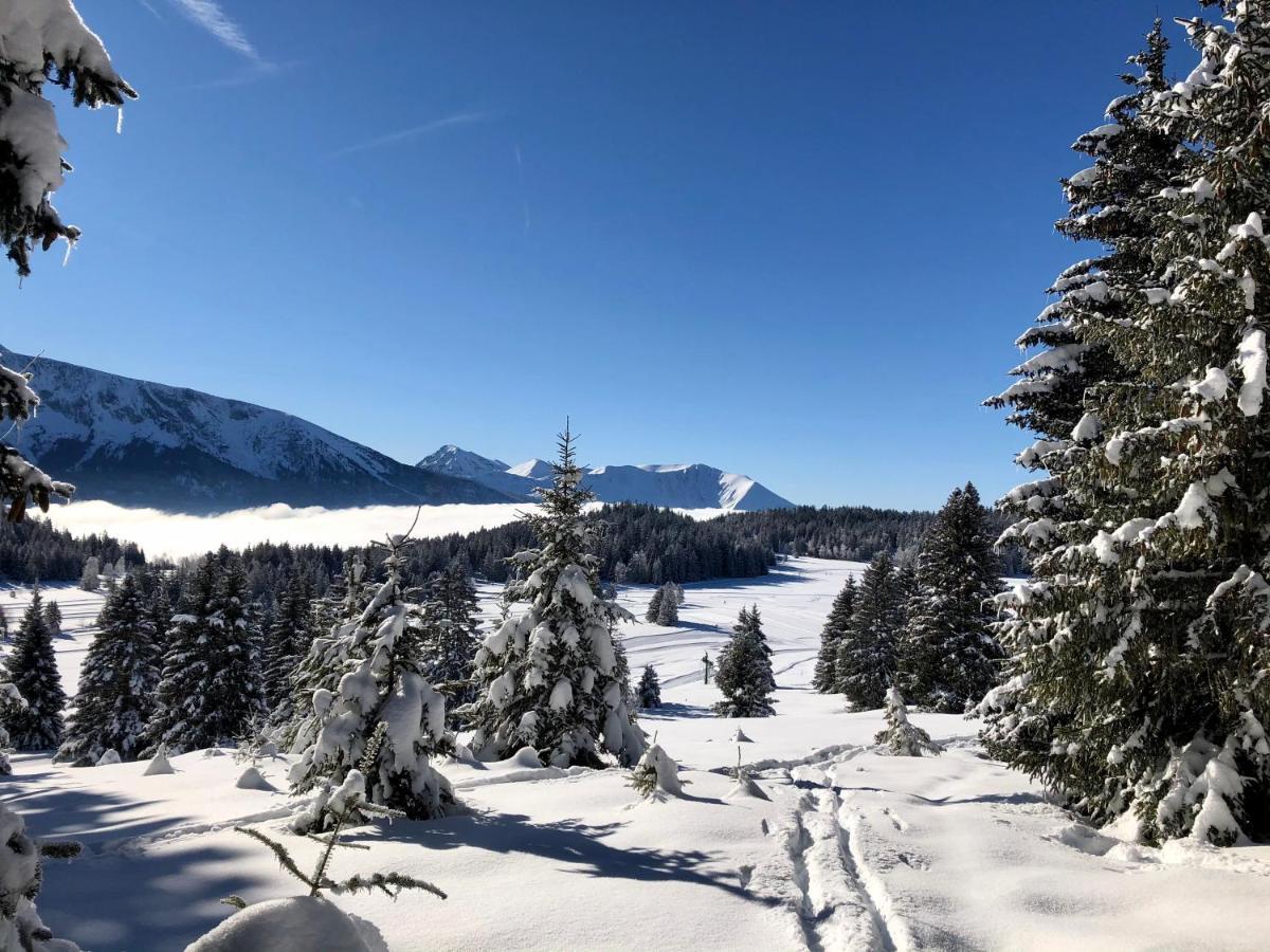 T2- 4Pers- Chamrousse Bachat Bouloud Apartment ภายนอก รูปภาพ